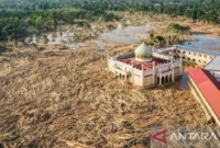 1765105585655-lautan-kayu-di-aceh-tamiang-erlangga-bregas-prakoso-antara-1765085370074_169