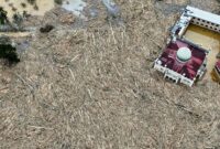 1765127150823-tumpukan-kayu-pascabanjir-bandang-putus-akses-ke-desa-tanjung-karang-aceh-tamiang-1765081980489_169