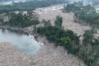 1765148696389-gelondongan-kayu-pascabanjir-beberkan-rusaknya-hutan-aceh-1765011763821_169