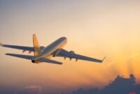 1765343202922-93afbd00-14a2-4d52-af94-1f4e51a7c972_169