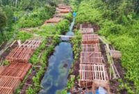 1765429630246-potret-ratusan-kubik-kayu-hasil-illegal-logging-yang-dibongkar-polisi-di-indragiri-hulu-riau-1765415476755_169