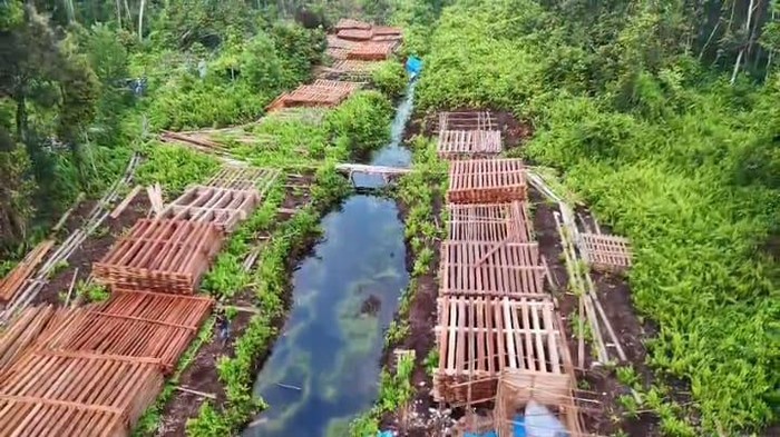 1765429630246-potret-ratusan-kubik-kayu-hasil-illegal-logging-yang-dibongkar-polisi-di-indragiri-hulu-riau-1765415476755_169