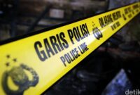 1765472773075-c3ad05bf-33ea-42ee-a74b-4d5dc3786f54_169