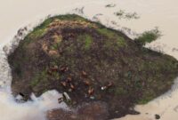 1765559168785-north-america-weather-1765515748523_169