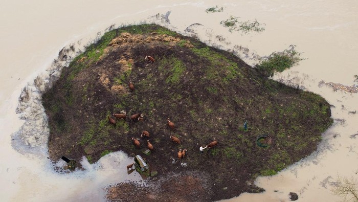 1765559168785-north-america-weather-1765515748523_169