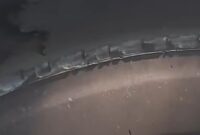 1765623920539-tangkapan-layar-postingan-viral-ban-bus-transjakarta-botak-1765617739803_169