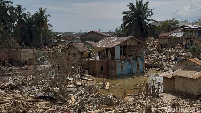 1765667101941-kondisi-aceh-tamiang-usai-banjir-surut-1765464194816_169