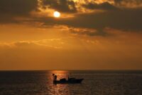 1765667102960-1617136284_169