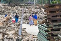 1765667103434-penampakan-kayu-gelondongan-tutup-akses-dan-hambat-evakuasi-di-tapteng-1765522970346_169