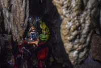1765753502919-ekstrem-dan-menguras-adrenalin-simulasi-cave-rescue-di-gua-walet-tasikmalaya-1765720385454_169