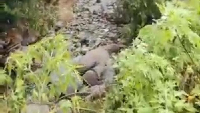 1765775225076-fenomena-alam-1765770614896_169