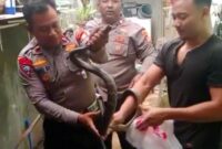 1765775225729-warga-tambun-selatan-bekasi-ketakutan-karena-ada-ular-yang-masuk-ke-rumah-warga-melapor-ke-call-center-polri-110-dan-polisi-da-1765773625115