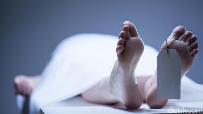 1765775228405-penemuan-mayat-wanita-duduk-di-melaya_169