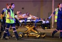 1765775239375-abc-1765770870244_169