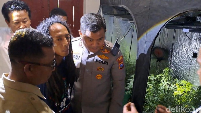 1765818417187-pria-gimbal-yang-ditangkap-saat-polisi-menggerebek-rumah-kontrakan-berisi-pertanian-ganja-di-jombang-1765800819046_169