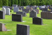 1765861619113-89471a4c-471e-487a-abab-9a6a5ce944a0_169