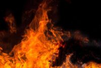 1766120844293-ilustrasi-kebakaran_169