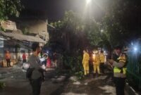 1767459942182-polsek-palmerah-tangani-pohon-tumbang-di-ks-tubun-1767455345806_169