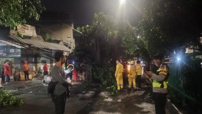 1767459942182-polsek-palmerah-tangani-pohon-tumbang-di-ks-tubun-1767455345806_169