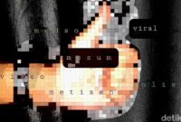 1767611242260-gambar-ilustrasi-soal-video-viral-nan-mesum-danu-damarjatidetikcom_169