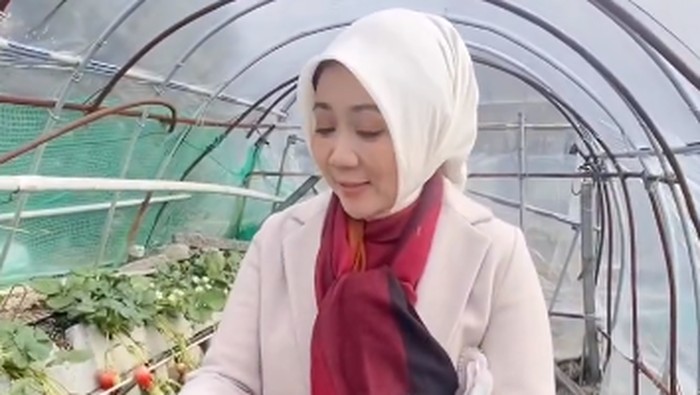 1767848806975-atalia-praratya_169