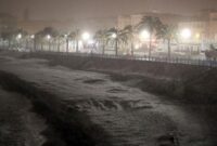 1767870382568-888923f5-64a5-4e4f-a17a-e50d0750c3ae_169