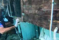 1767913523713-tangkapan-layar-penyelam-menyusuri-bagian-dalam-bangkai-kapal-pinisi-putri-sakinah-yang-terdampar-di-pantai-pede-pulau-komodo--1767712175946_169