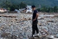 1767956801077-petani-sawit-1767945917994_169