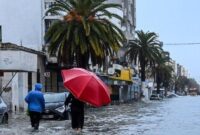 1769036741360-tunisia-weather-flood-1769025688279_169